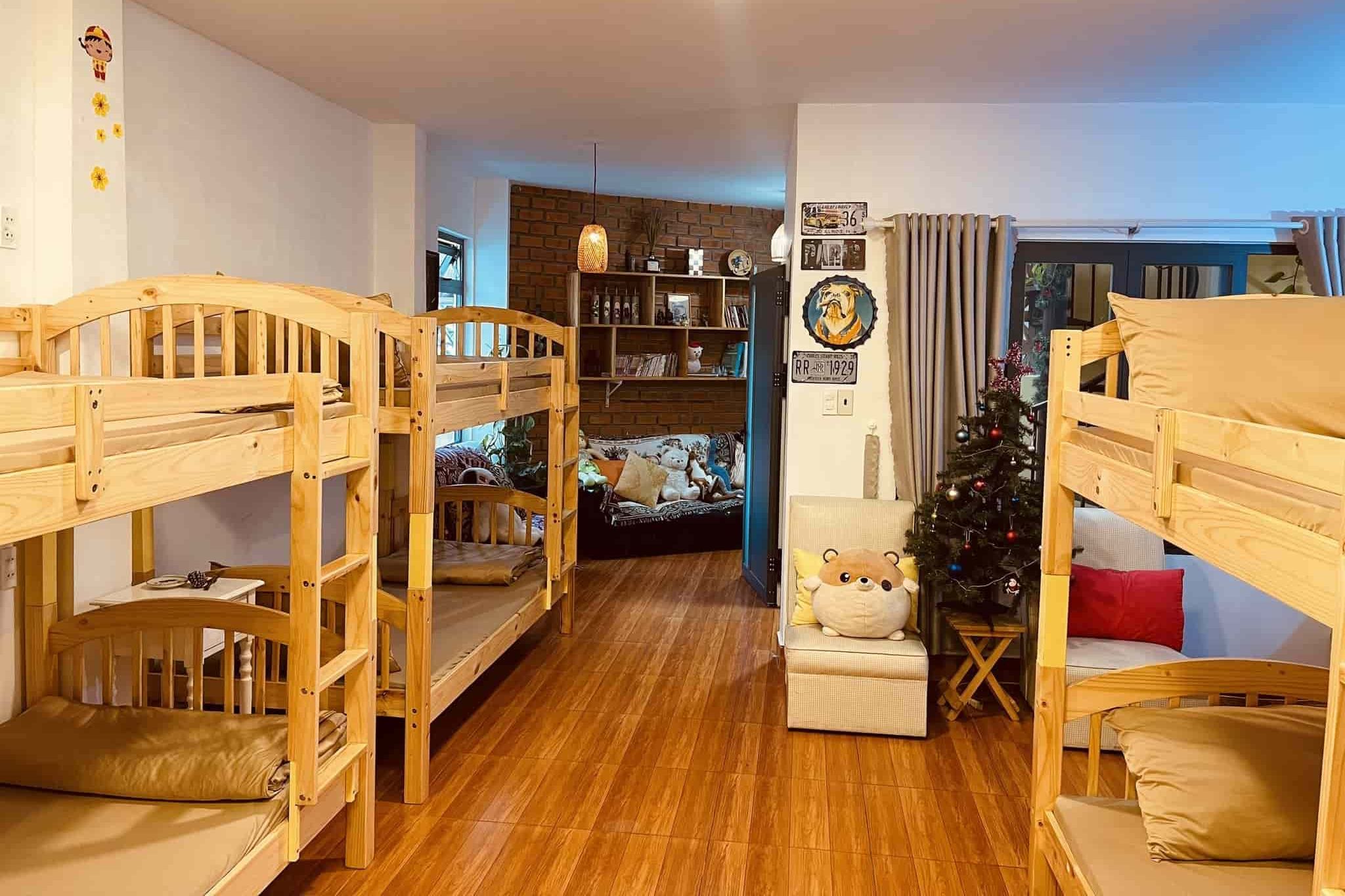 thiết kế phòng dorm trong hostel 11